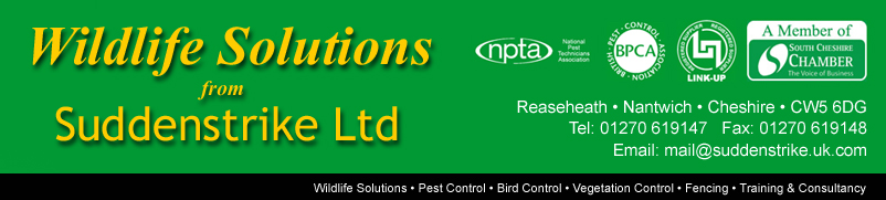 pest control specialists